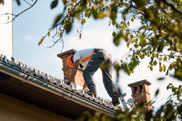 Roof Gutter Cleaning in Buffalo, SC